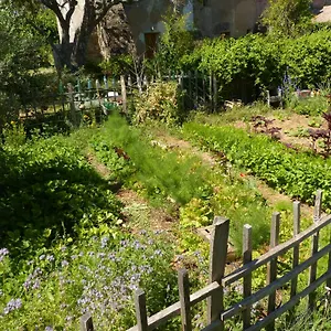 Le Deffend Vieux , Trets France
